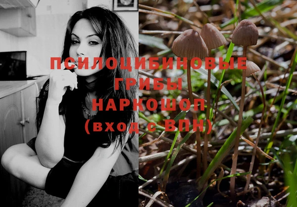 гидропоника Белокуриха
