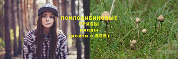 гидропоника Белокуриха